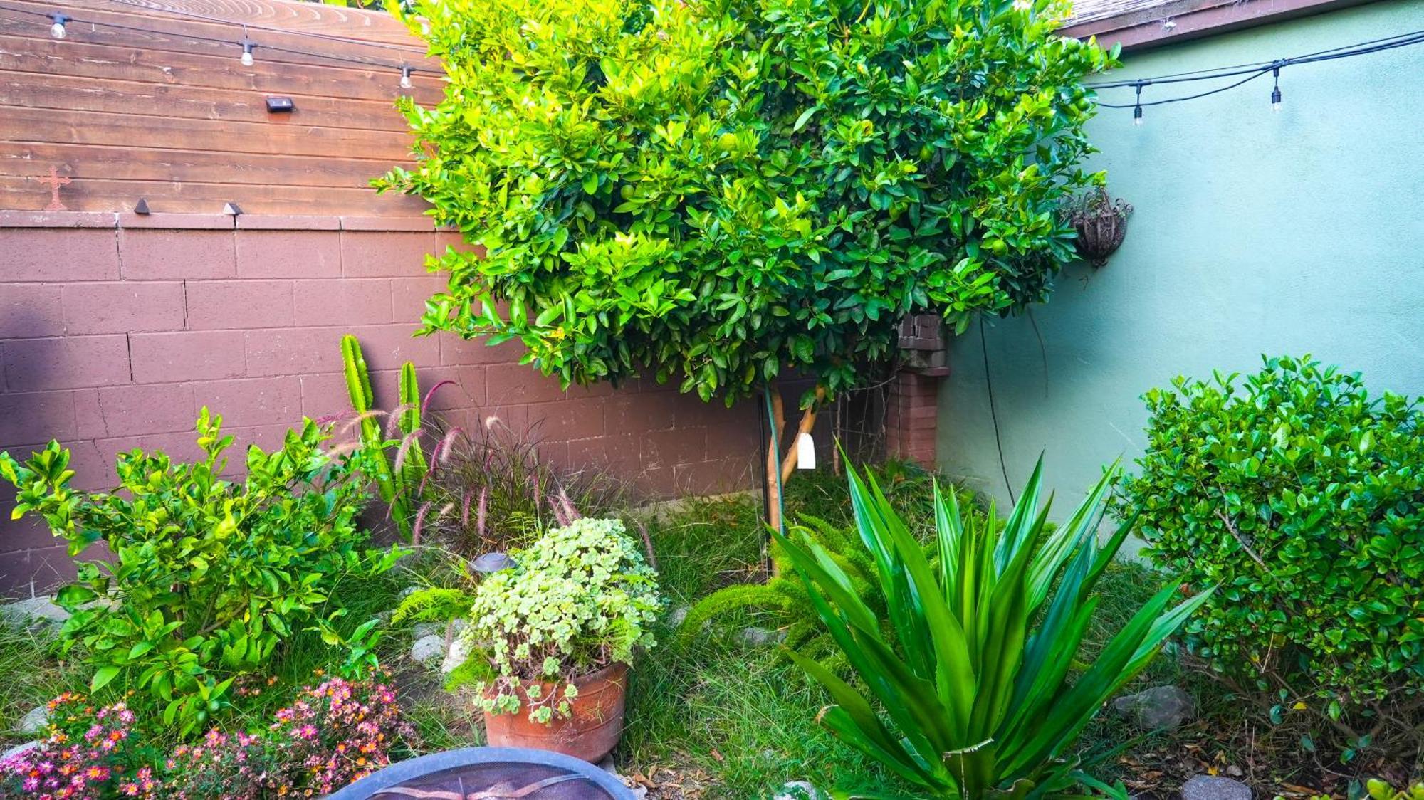 Cozy Private Guest House Los Angeles Exterior photo